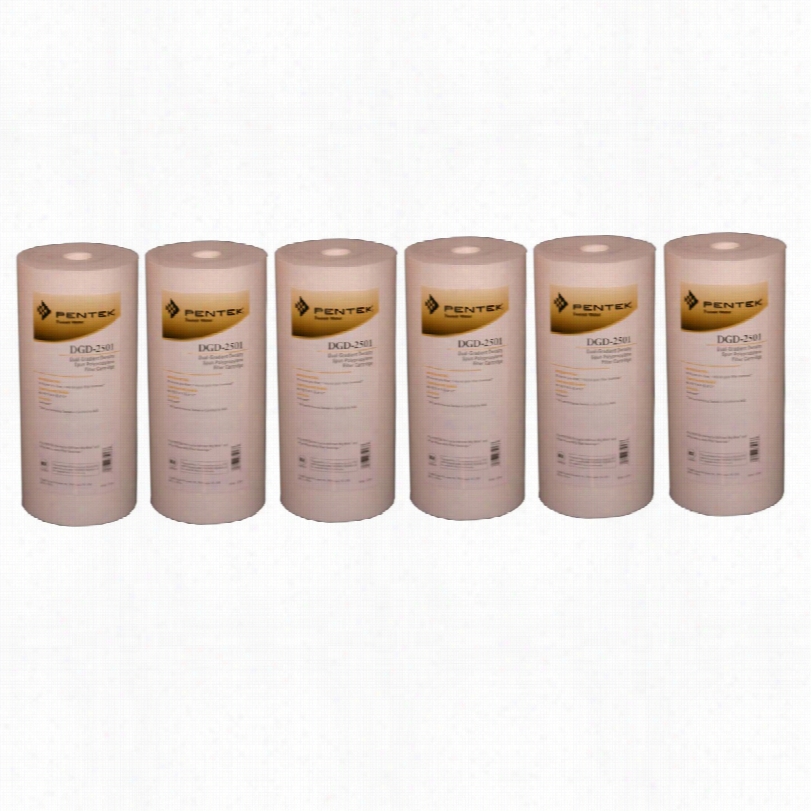 Dgd-2501 Pentek Whole House Filter Replacement Cartidge (6-pack)