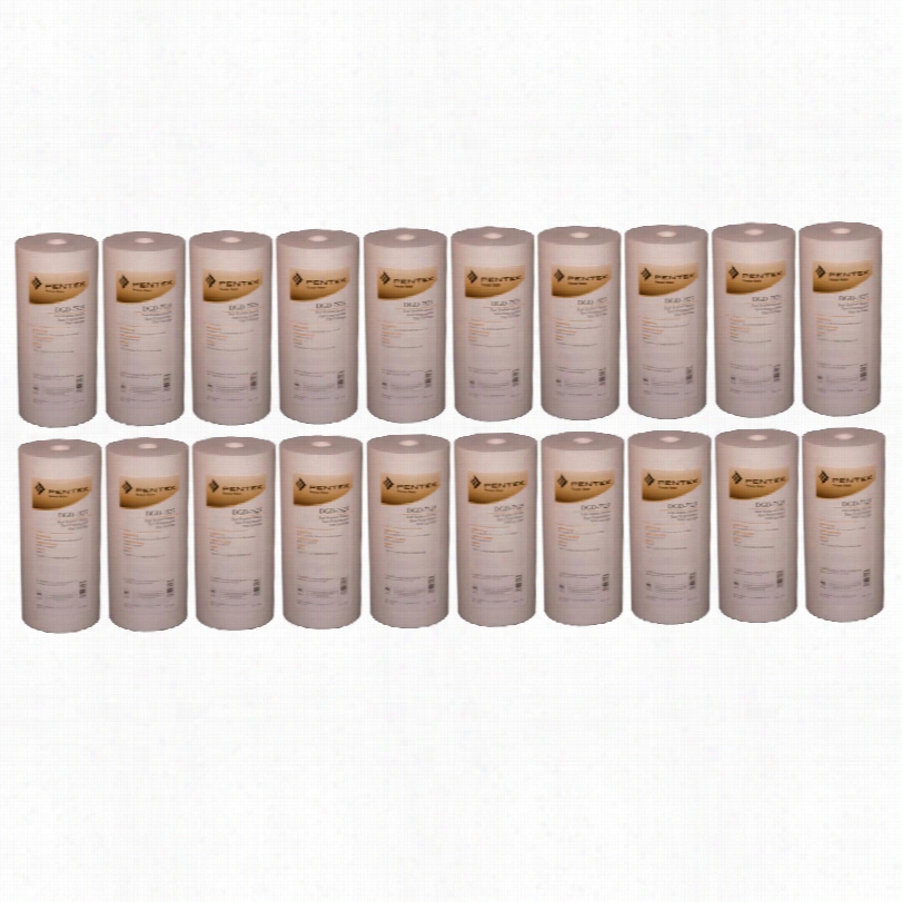 Dgd-7525 Pentek Whole Firm Re-establishment Sediment Filter Cartridge (20-pack)