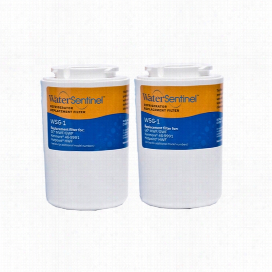 Mwf Wyirlpool Re-establishment Refrigerator Awter Filter Wsg-1 (2-pack)