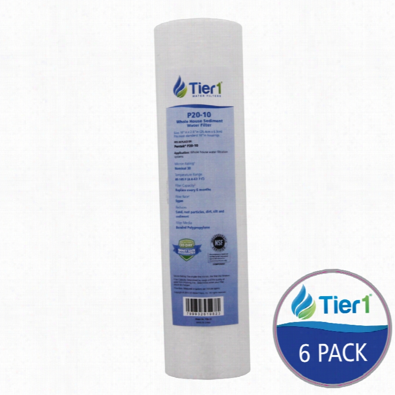 P20 Pentek Comparable Whole House Sediment Water Fiter Along Tier1 (6-pack)
