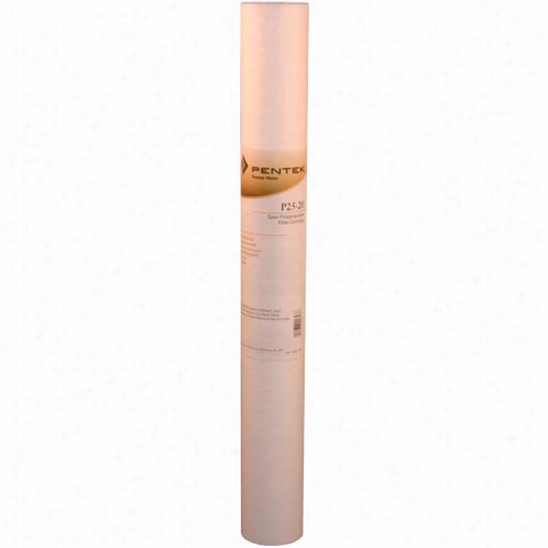 P25-20 Penntek Whole House Replacement Sediment Filter Cartridge