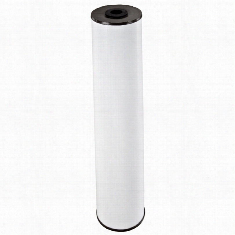 Rffe20-bb Pentek Ion Reduucing Water Filter Cartfidge (20 In X 4.5 In)