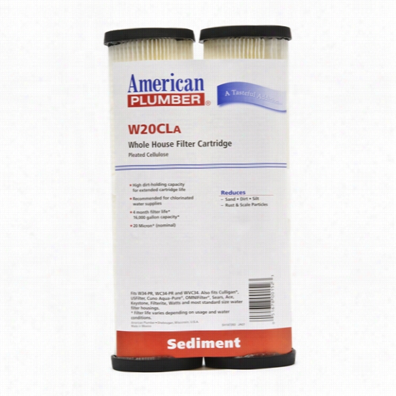 W20cla American Plumher Whole House Sediment Water Filer Cartridge (2-pack)