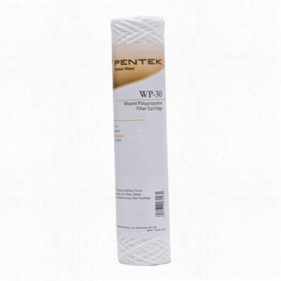 Wp-30 Pentek Whole House Filter Replacement Cartridge