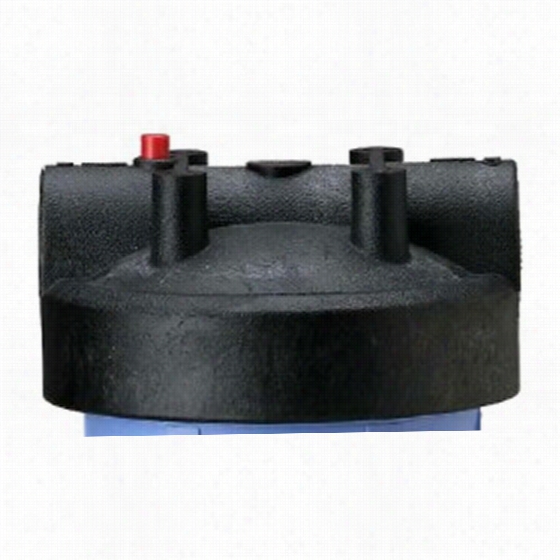 154167 Pentek Filter Housing Cap With Pressure Relief Button - Black