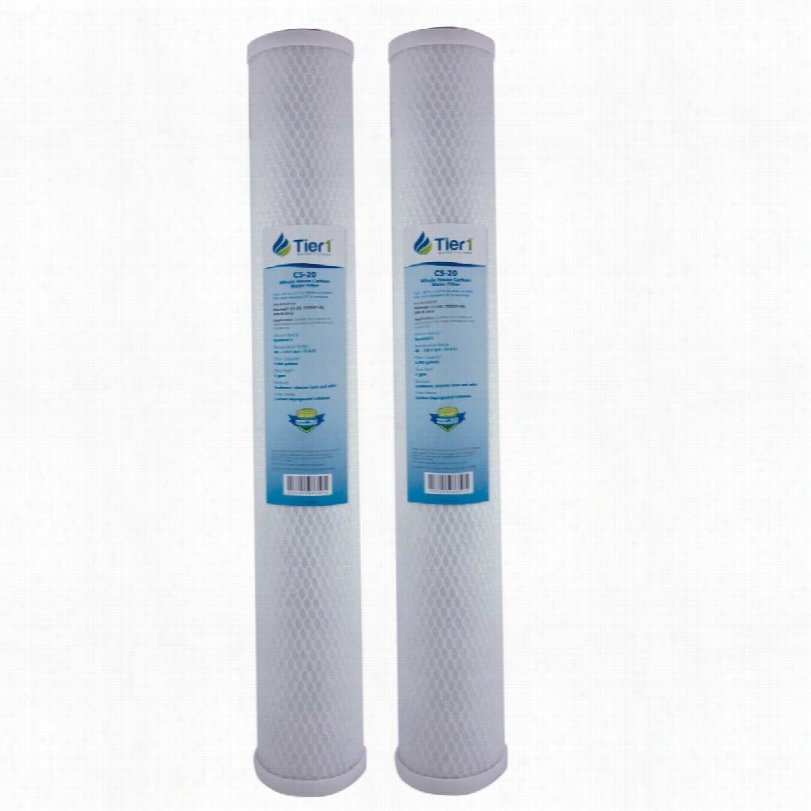 C-120 Pentek Comparable Whole House Carbon Water Filter By Tier1 (2-pack)
