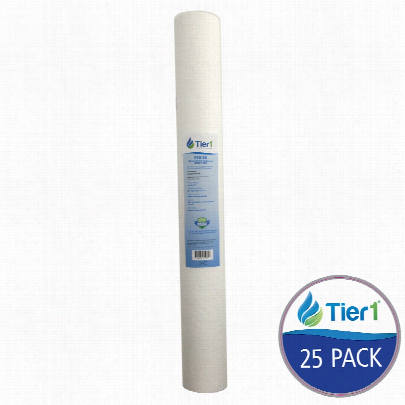 P20~20 Tier1 Sediment Waterfilter (25-pack)