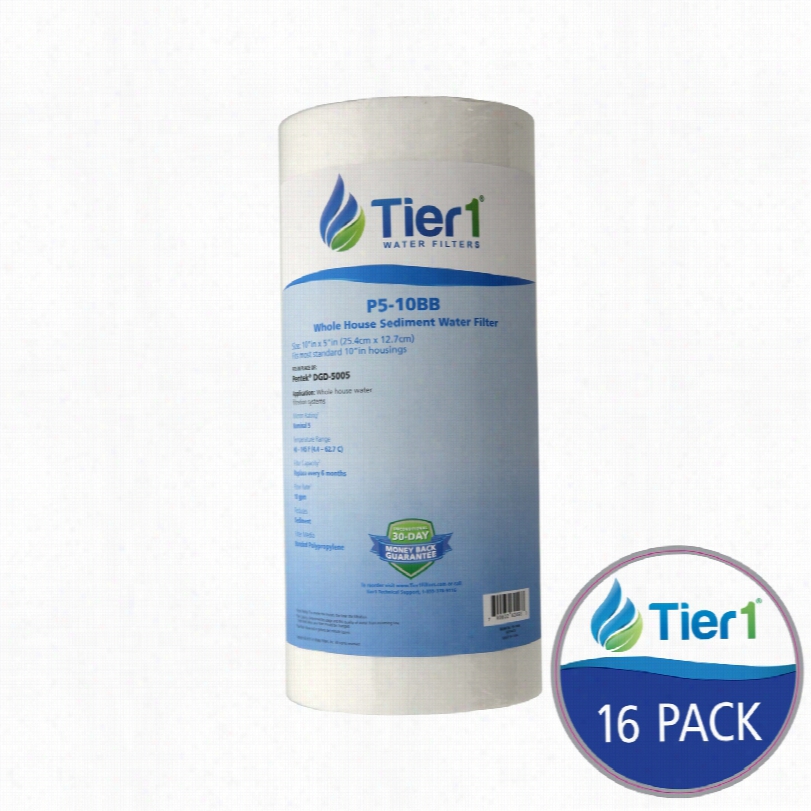 P5-10bb Tier1 Sediment Water Filter (16-pack)