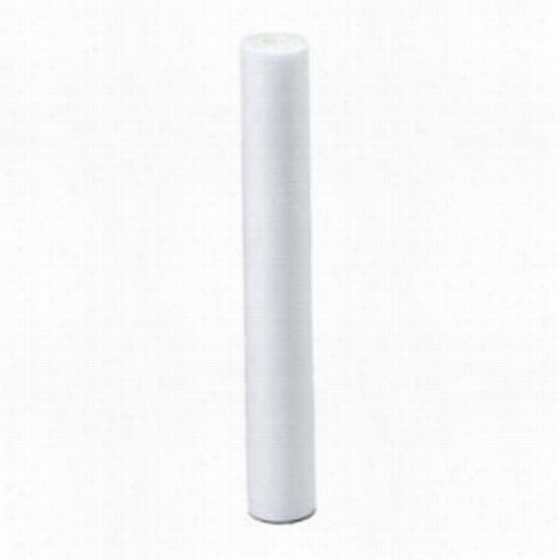 Pd-10-20 Epnte Whole House Re-establishment Sediment Filter Cartri Dge