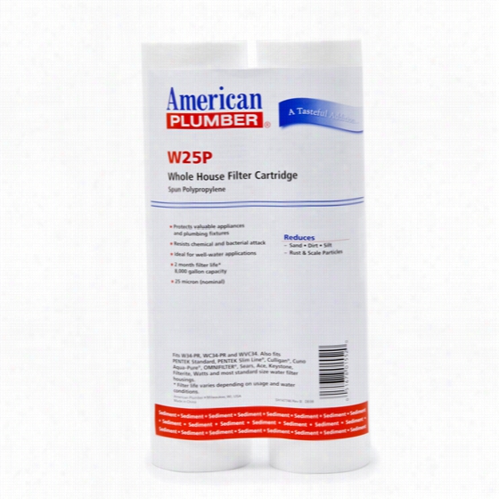 W25p Maerican Plumber Whole House Swdiment Filter Cartridge (2-pack)