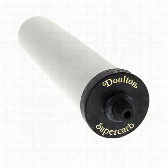 W9122021 Doulton Supercarb Replacement Ceramic Water Filter