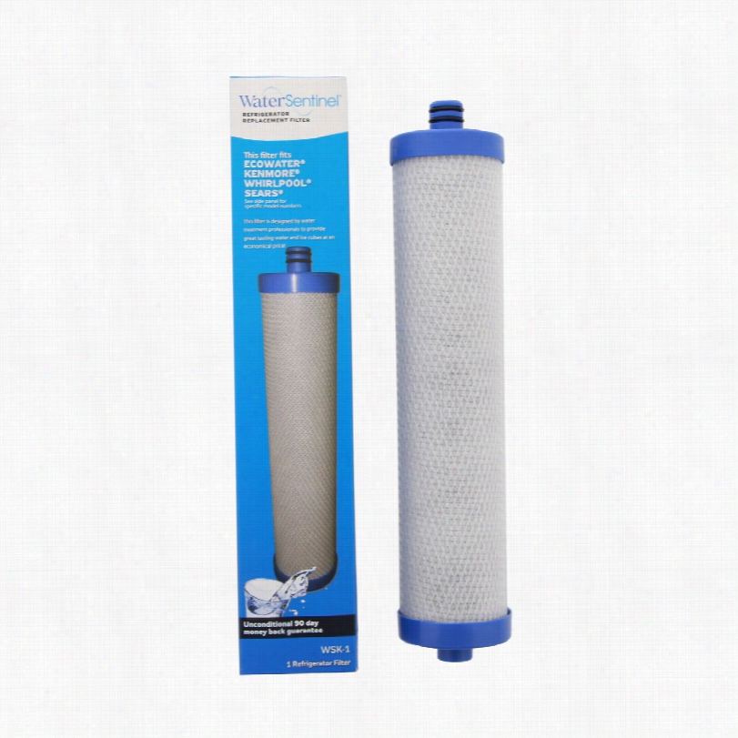 Wsk-1 Water Sentinel Replacement Awter Filters (2-pack)