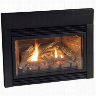 Empire Comfort Systems Dv25in73l 25"" Direct Vent Fireplace Insert With Electronic Ignition