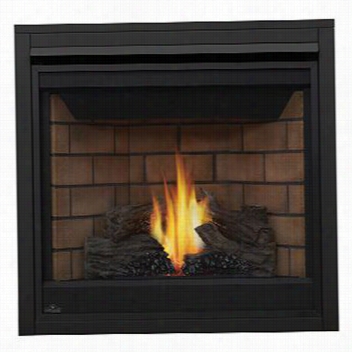 Napoleon B35nt 20,000 Btu Natural Gas Direct Vent Millivolt Fireplace In Black