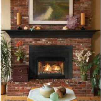Empire Comfort Systems Dv33in73l 33"" Direct Vent Fireplace Insert With Electronic Ignition
