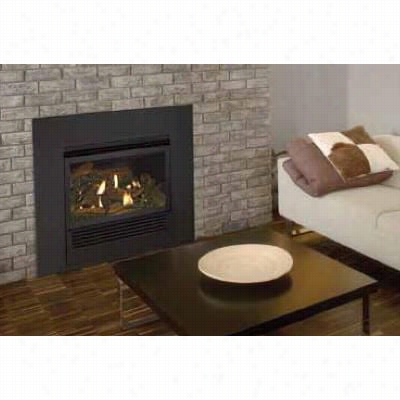 Empire Comfort Systems I28bm Mantis G-class Fireplace Pacckage