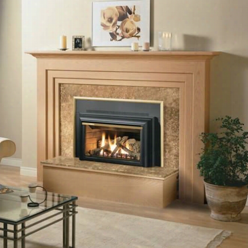 Napoleon Gdizcn- Direct Vent Gas Fireplace Insert