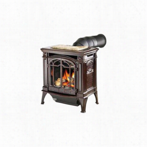 Napoleon Gds25 Bayfield Aeriform Fluid Stove