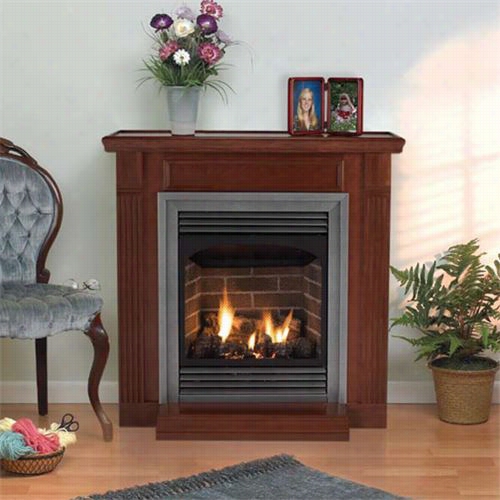 Empire Comfort Ysstems Vfp-24-fp Vail 24 Vent Frse Fireplace Black Frame With Slope Glaze Burner