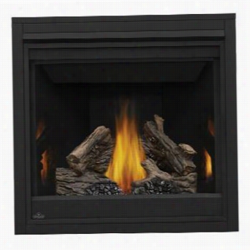 Napoleon B36ntr Top/rear Vent Natural Gas Fireplac Ewith Black Door