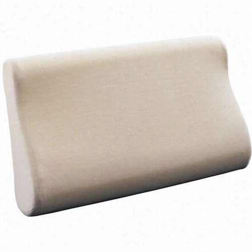 Coaster Furniiture 1015 Mall Contour Pillow In White