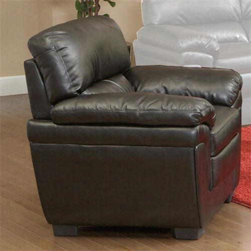 Coaster Furniture 502953 Fenmore Casua Ldouble Pillow Arm Chair