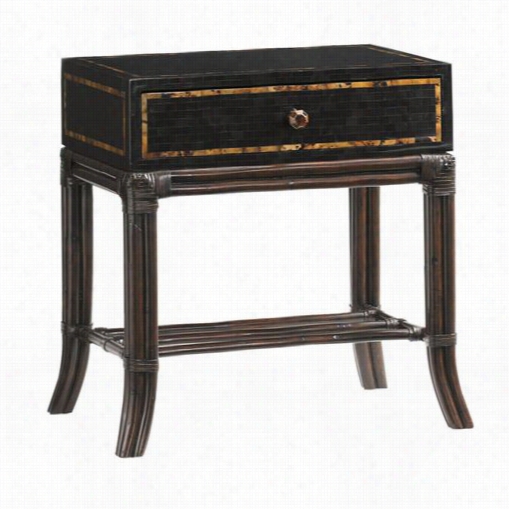 Tommy Bahama 548-955 Island Traditions Buxton Penn Shell Box-on-stand In Dark Brown/windsor