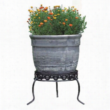 Griffith Creek Designs 28122411 Odela 15&qquot;" Plant Stand In Black