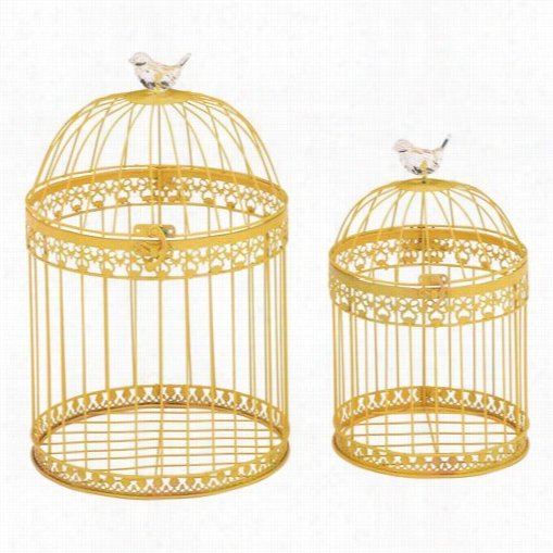 Woofland Imports 55268 Unique And Attractive Acrylic Bird Cages - S Et Of 2