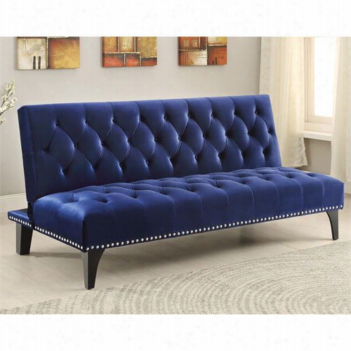 Coaster Furniture 500 Transitional Vvelvet Sofa Bed