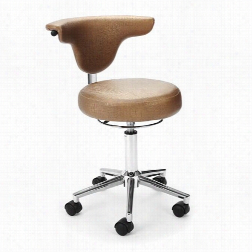 Ofm E91 Elements 910 Anatomy Chair