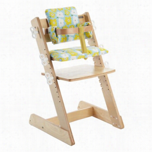 Tct Nanotec Ta209 Q-momo Wooden High Chair