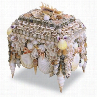 Currey And Company 1251 Boardwaalk Shell Jewelry Box