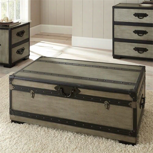 Steve Silver Rw300c Rowan Trunk In Weqthered Gray-haired With Casters