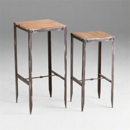 Cyan Design 04871 Camelback Nesting Table In Raw Iron/natural Wood