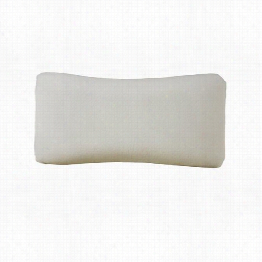 Coaster Frniture 1013 Comfort Quee Sizw Pillow In White