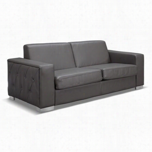 Whitelinem Odern Living So1196p Alfa Sofa Bed With Stainlesss Steel Legs