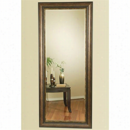 Coaster Furniture 900672 Long Floor Mirror In Copper