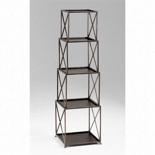 Cyan Design04719 Small Surrey Etagere In Bronze