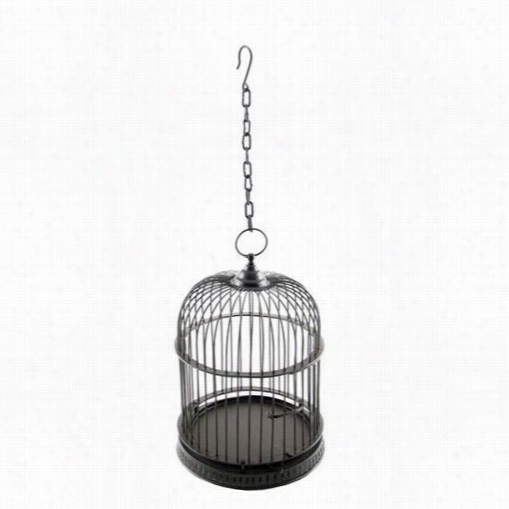 Achla Designs Bc-05 Small Rotunda Birdcage