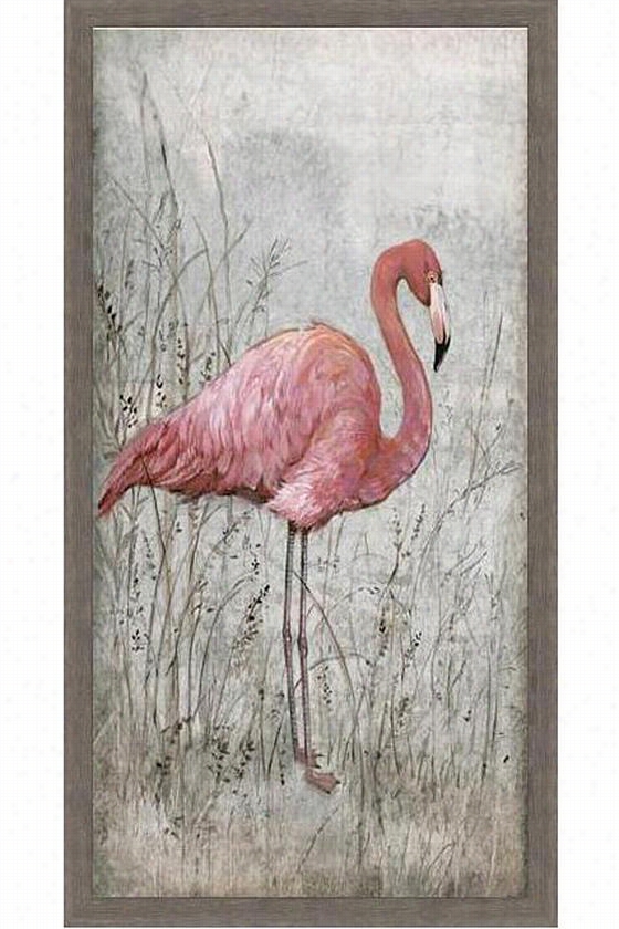 American Flamingo Wall Art - American Flamin, Tim 'otoole