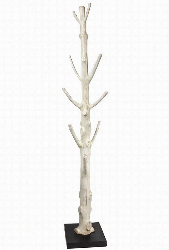 Branched Coat Rack - 75""hc16""wx16""d, Mangosteen