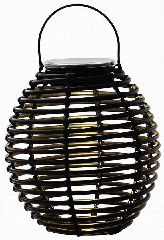 Coil Solar Lantern - 9""hx8""w, Dark