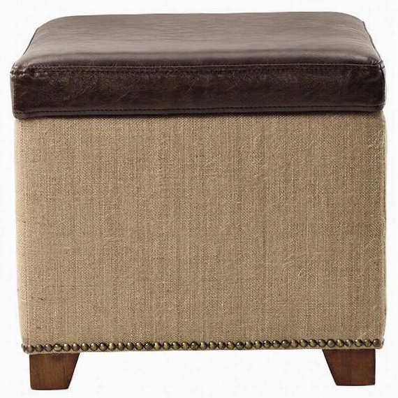 Ethan Storage Ottoman - 17"&qu Ot;x19""wx19""d, Brown Leather W/brlp