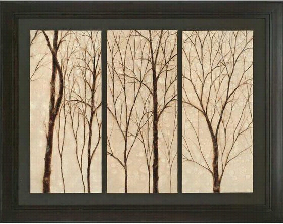 Graceful Trees Framed Wall Art - 44"";h X 56""w, Beige