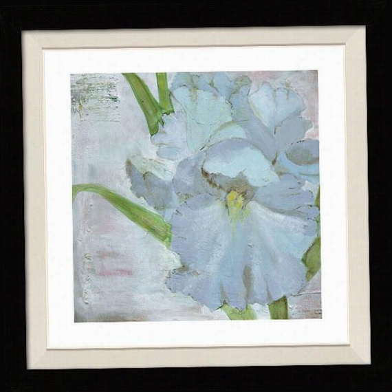 Iris In Periwinkle Framed  Wall Practical Knowledge - 30""hx30""w, Floated Black