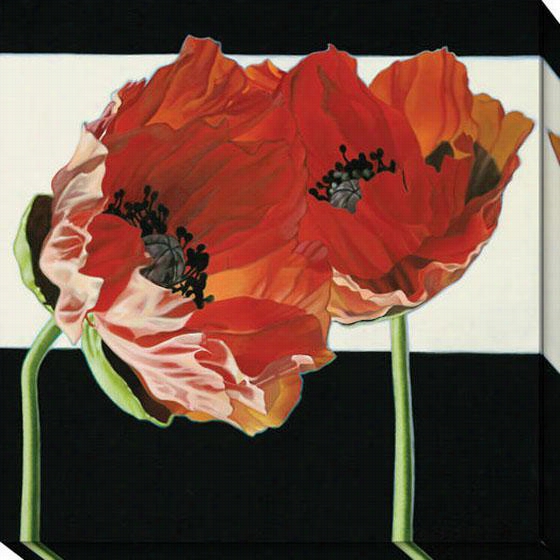 Poppies With Black And White Canvas Wall Art - 40""hx40 ""w, Black