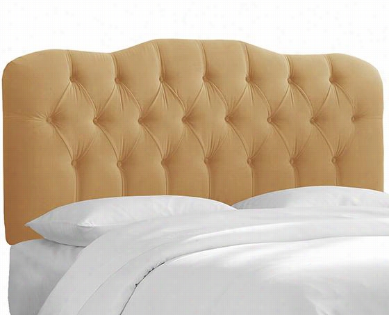 Wembley Upholstered Headboard - Twin, Velvet Honey