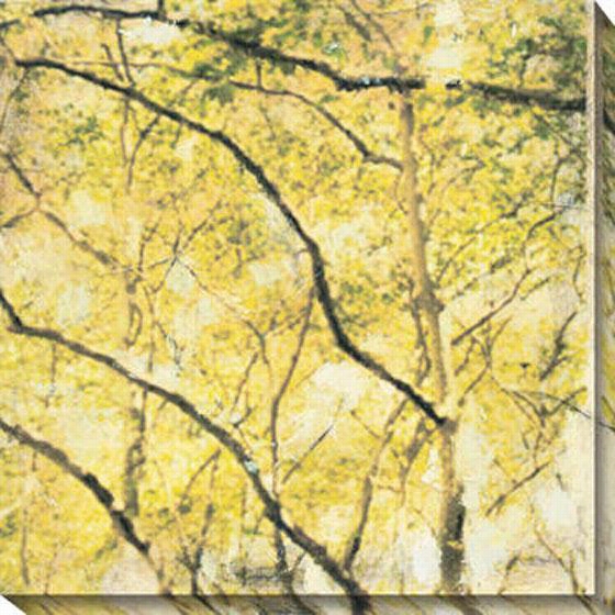 City Park Ii Canvas Wall Art - 40 ""hx40""w, Golden