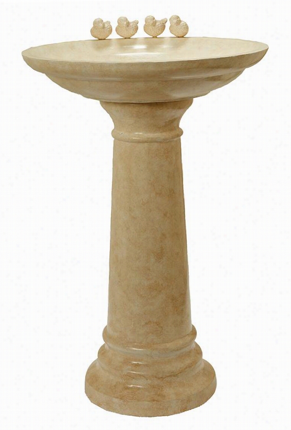 Four Birdie Bird Bath - 37""hx25""wx25""d, Whte